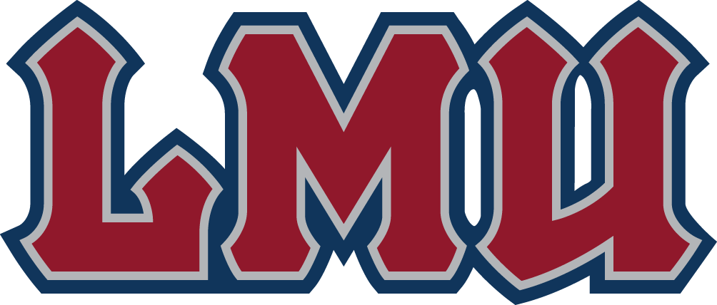 Loyola Marymount Lions 2008-2018 Wordmark Logo t shirts iron on transfers